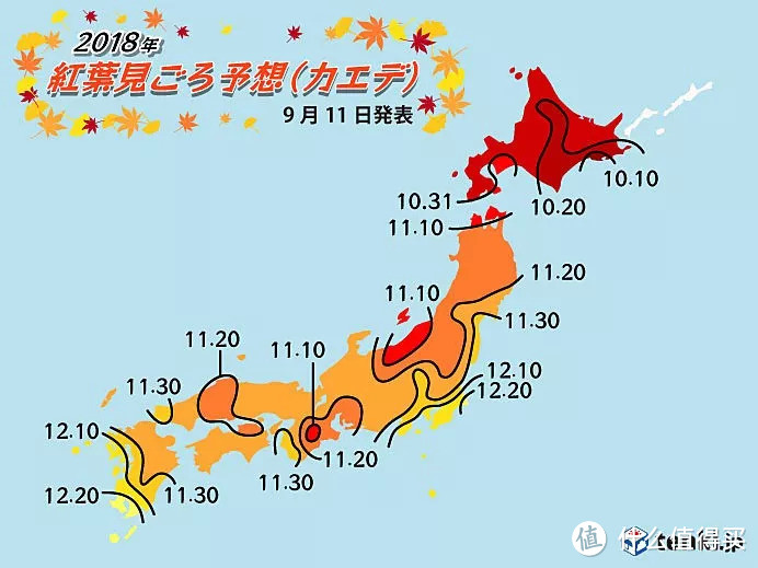 秋风一起，十里红妆—这些“枫”景独好的赏枫地可别再错过了