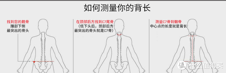 如何测量背长