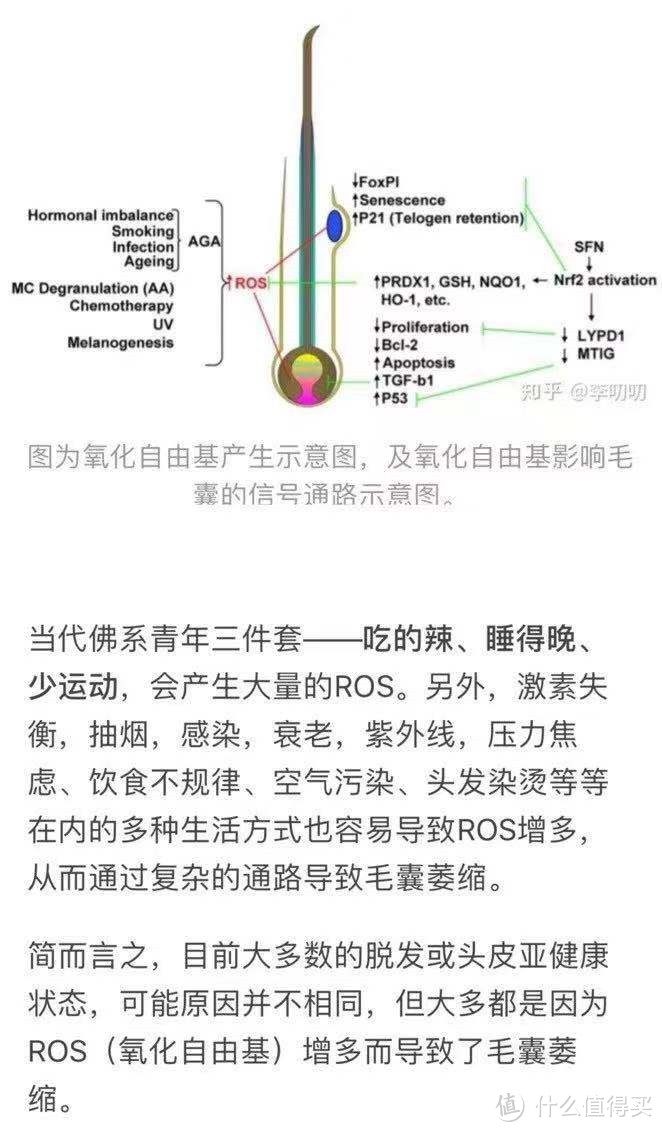 一瓶洗发水拯救发际线？！少女防脱自救指南！