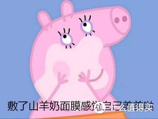 来自波兰的洋奶——ziaja齐叶雅山羊奶面膜
