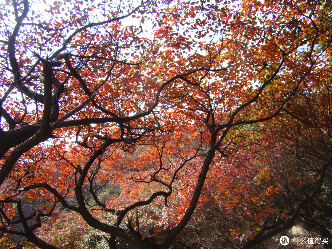 慢慢的柳暗花明又一村