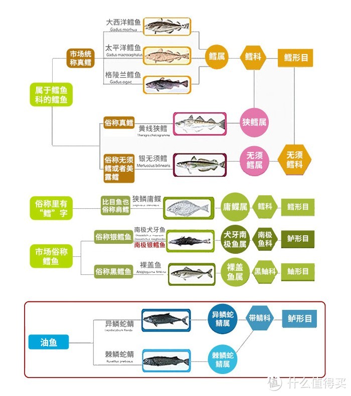 大促来临，看到这些鱼肉生鲜毫不犹豫的剁手吧附好价推荐