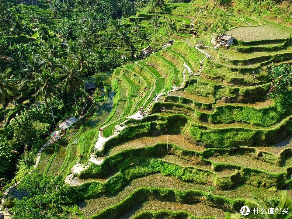 邂逅南纬8度的阳光Bali—9天7晚巴厘岛自由行网红景点打卡之旅