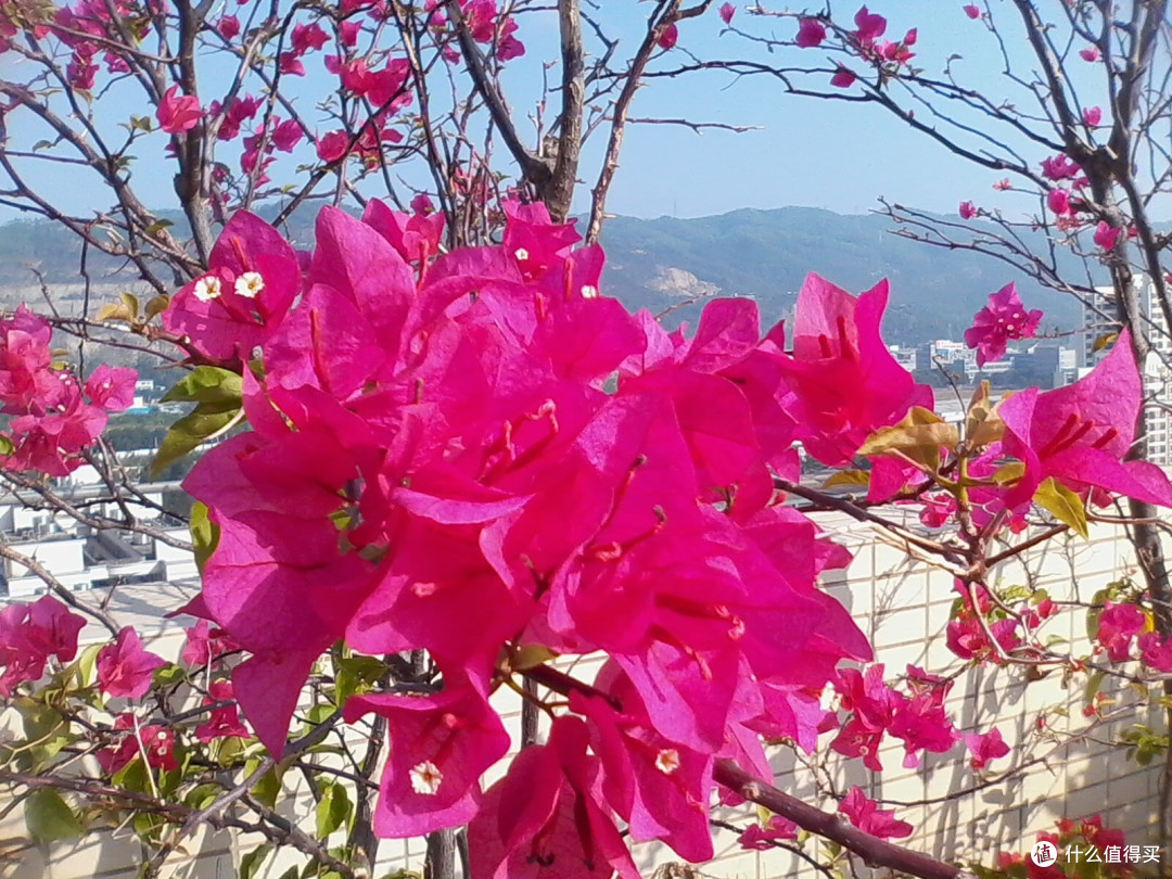 当作MP3、收音机用挺好,但其他方面很麻烦,TP-LINK5200手机