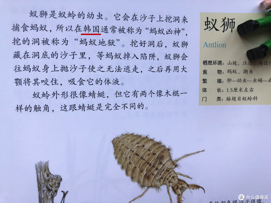 (△原作中这样的描述比比皆是)