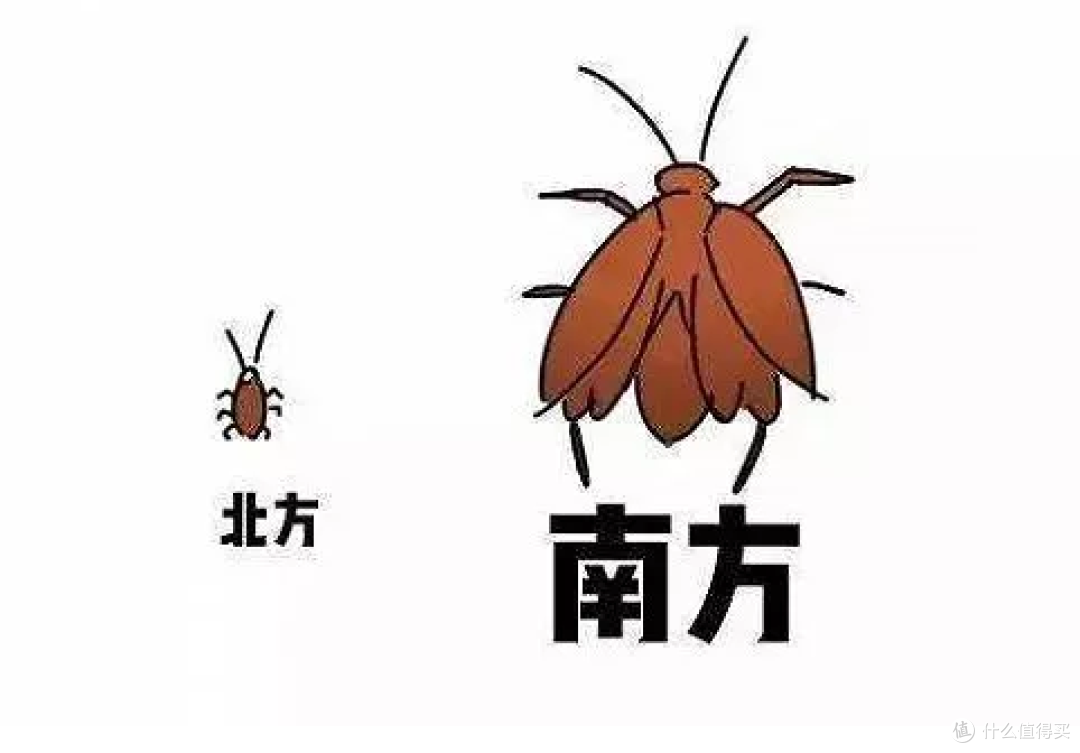 当你在家里看见1只蟑螂,莫慌,因为在暗处还有1000只!