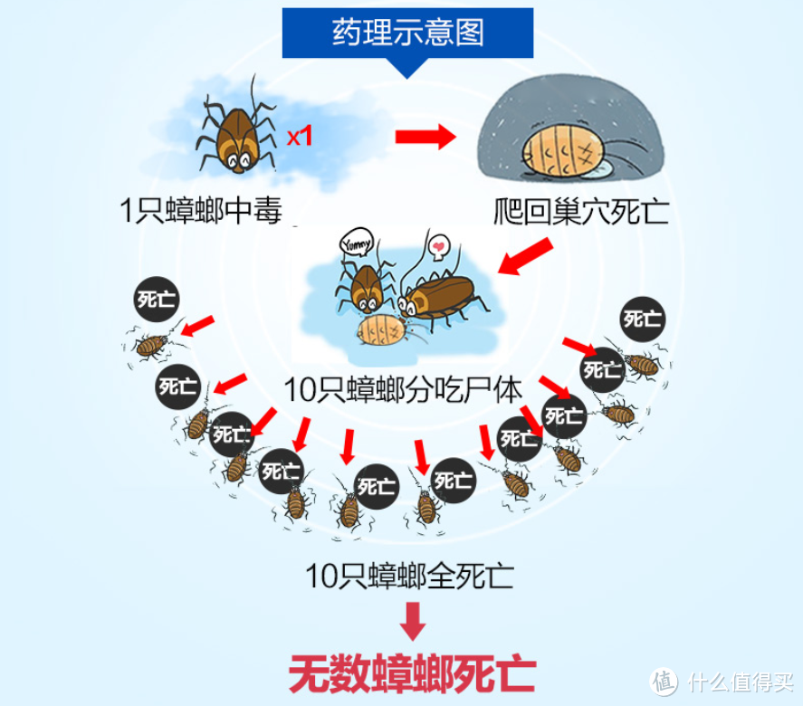 当你在家里看见1只蟑螂，莫慌，因为在暗处还有1000只！