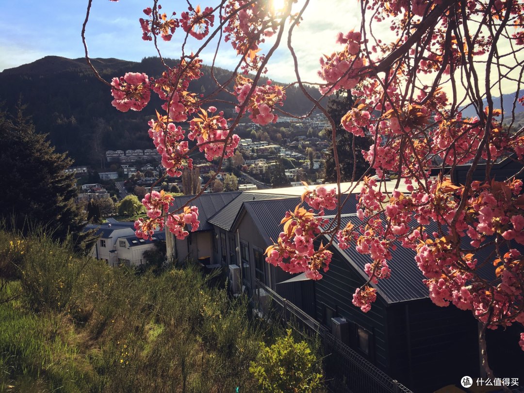 本来画风是这样子哒