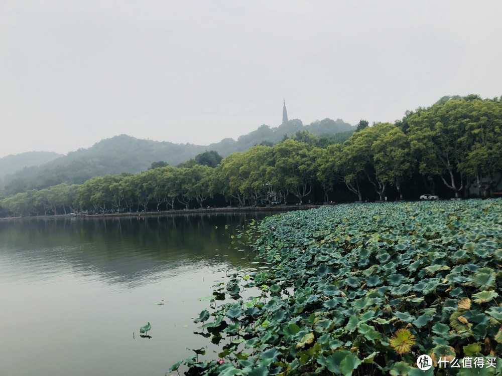 “跑就是为了吃，没有罪恶感”写在两次半马之后……