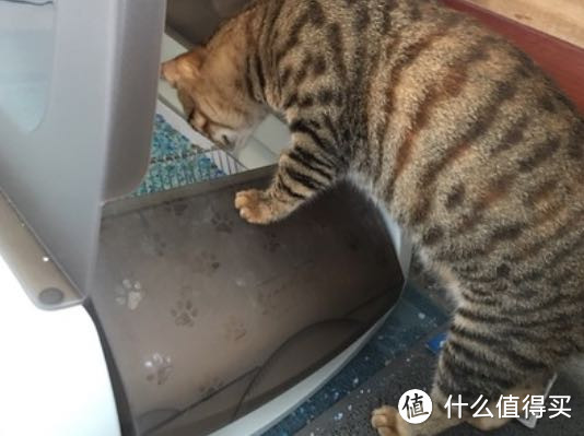 贝适安ScoopFree豪华版猫砂盆产品测评