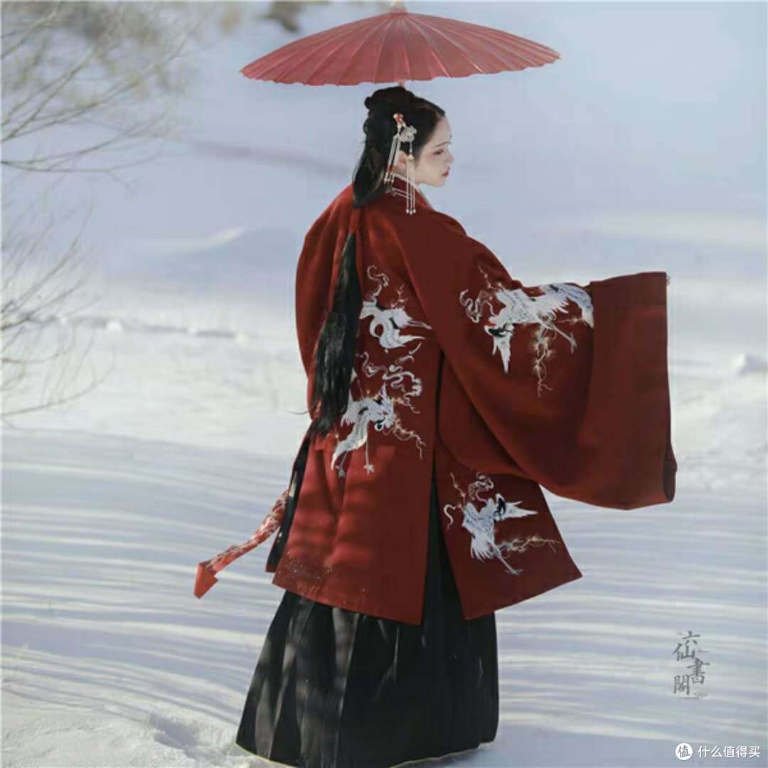 一袭红衣霂倾城，公子一见误终生