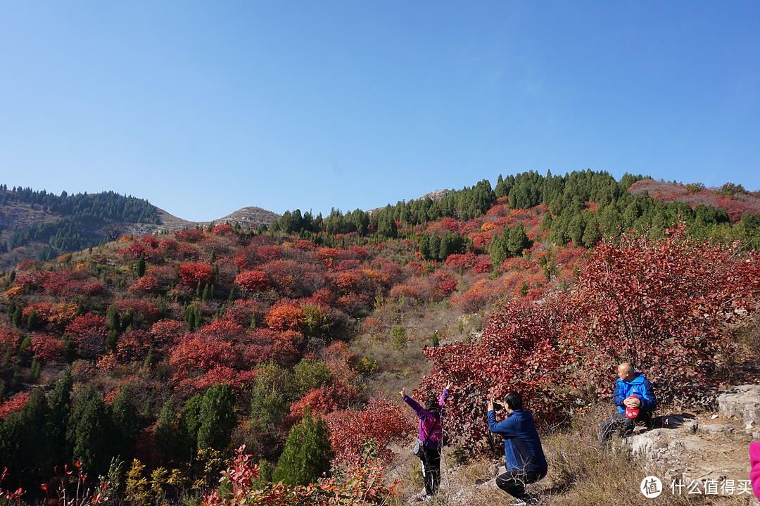 到山上层层红叶让人心旷神怡