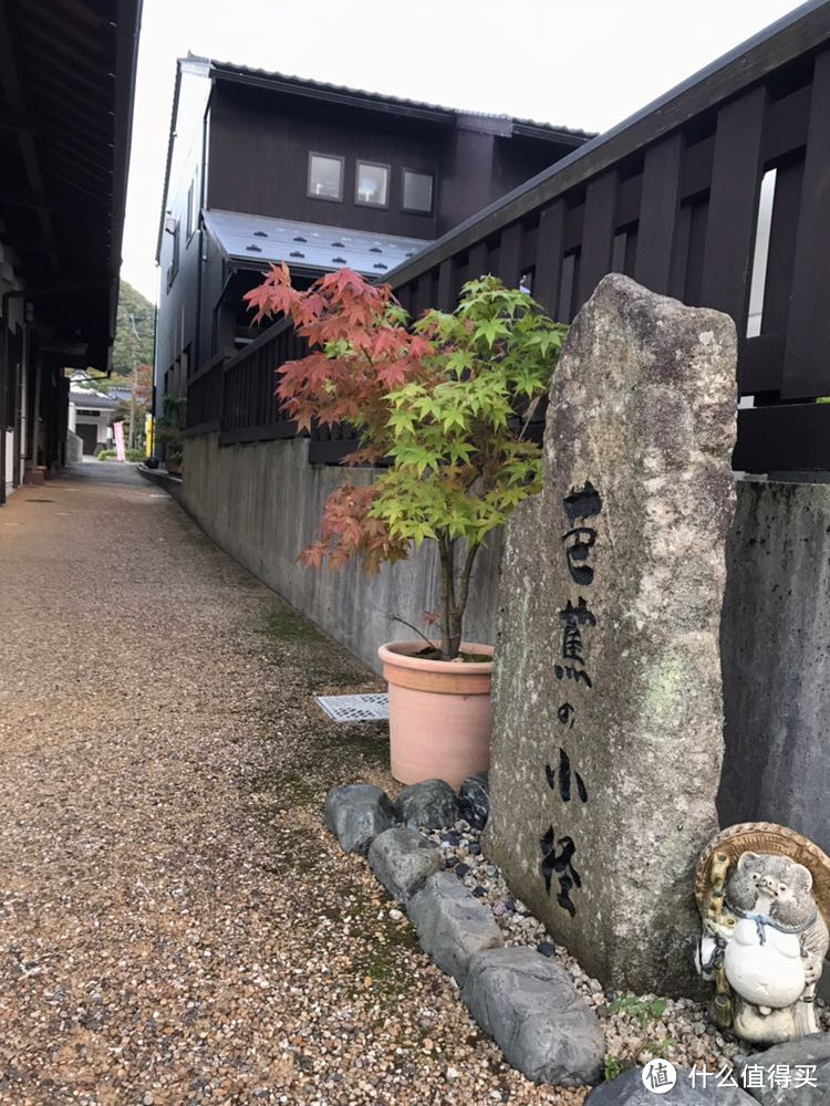 日本名古屋—加贺—金泽—东京，金秋十月闲云野鹤