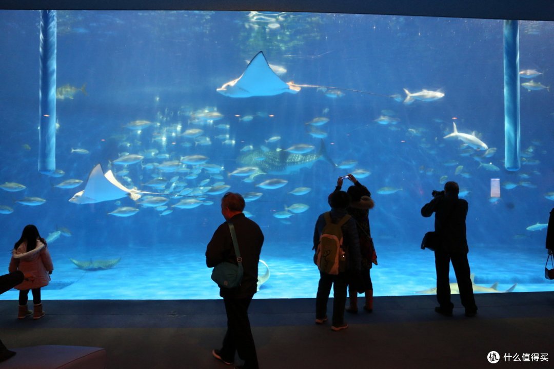 鹿儿岛水族馆