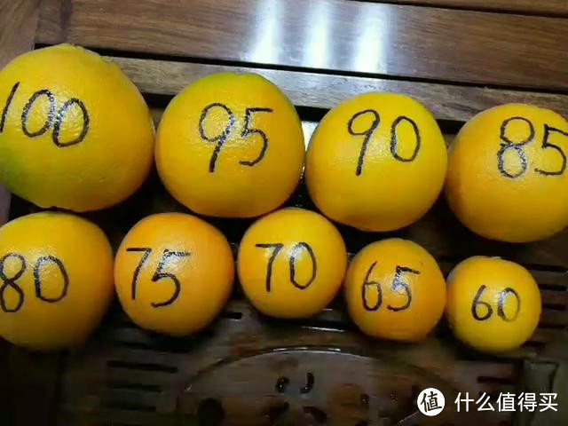 一图看懂60-100果大小