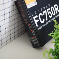 leopoldFC750R PS 键盘外观展示(防尘罩|数据线|键线|键帽|轴体)