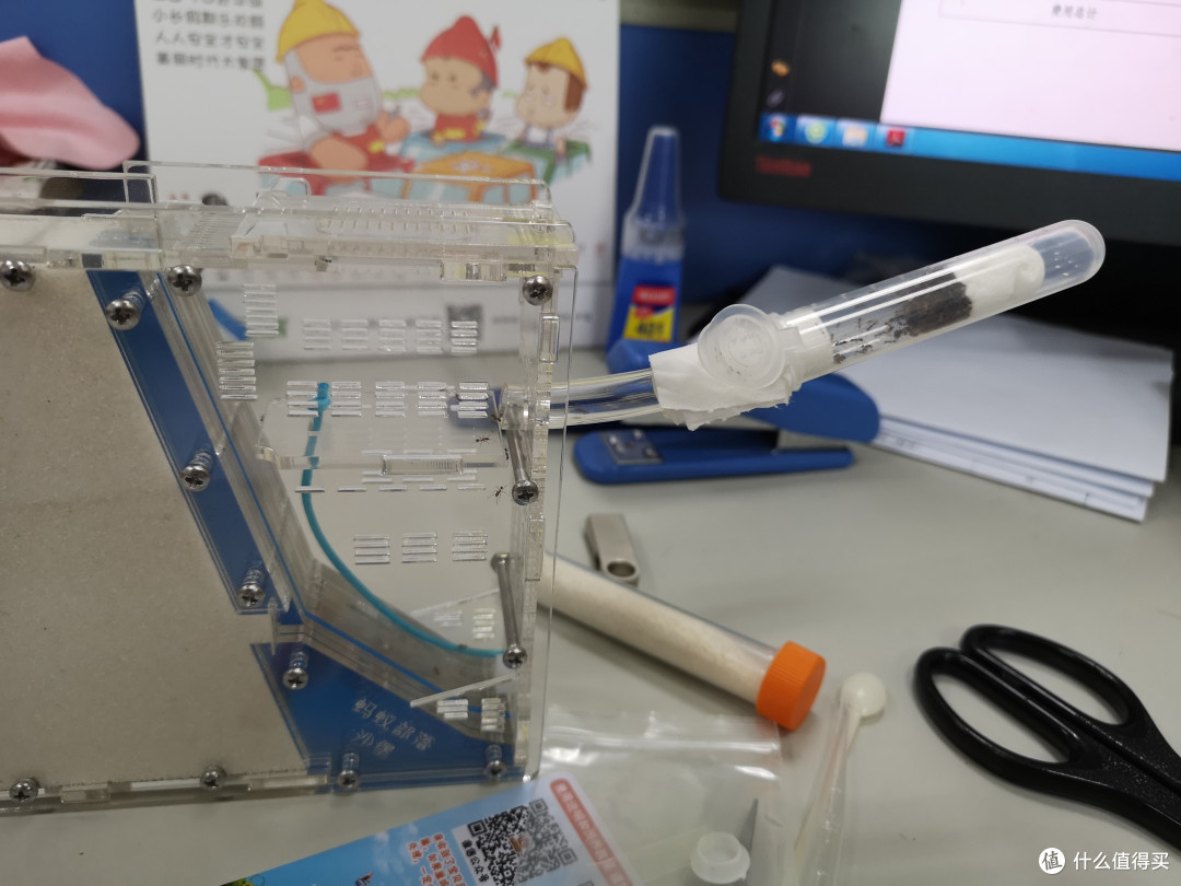 桌面新宠—蚂蚁部落沙堡养成记