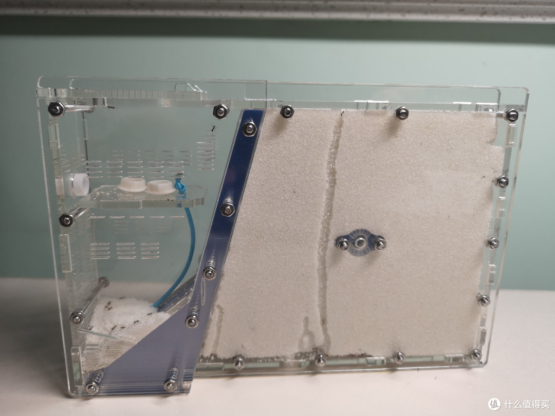 桌面新宠—蚂蚁部落沙堡养成记