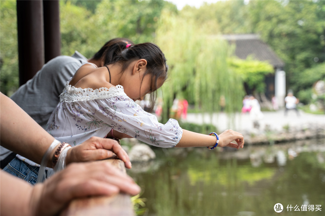 感受金陵古韵，漫步烟雨古都—南京匆匆四日游（下篇）