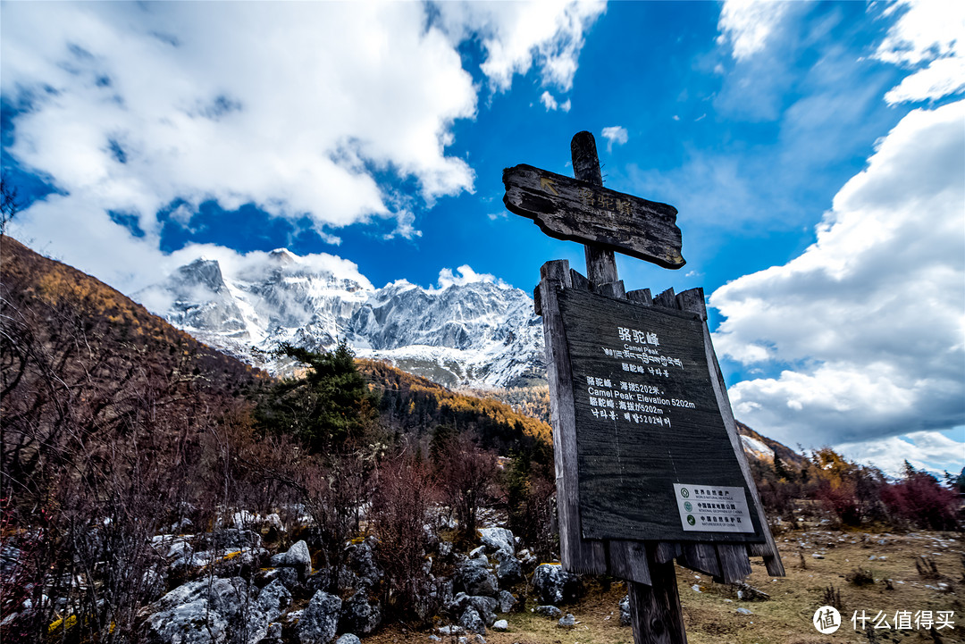 木骡子营地上方的雪山