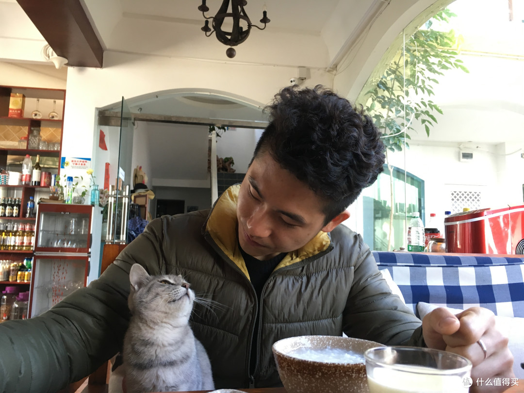 一坐下,猫咪就跳上来,估计上辈子是猫奴