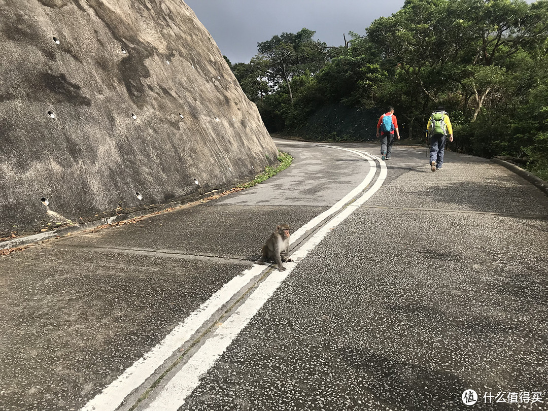 麦理浩径六七八段之重返大帽山