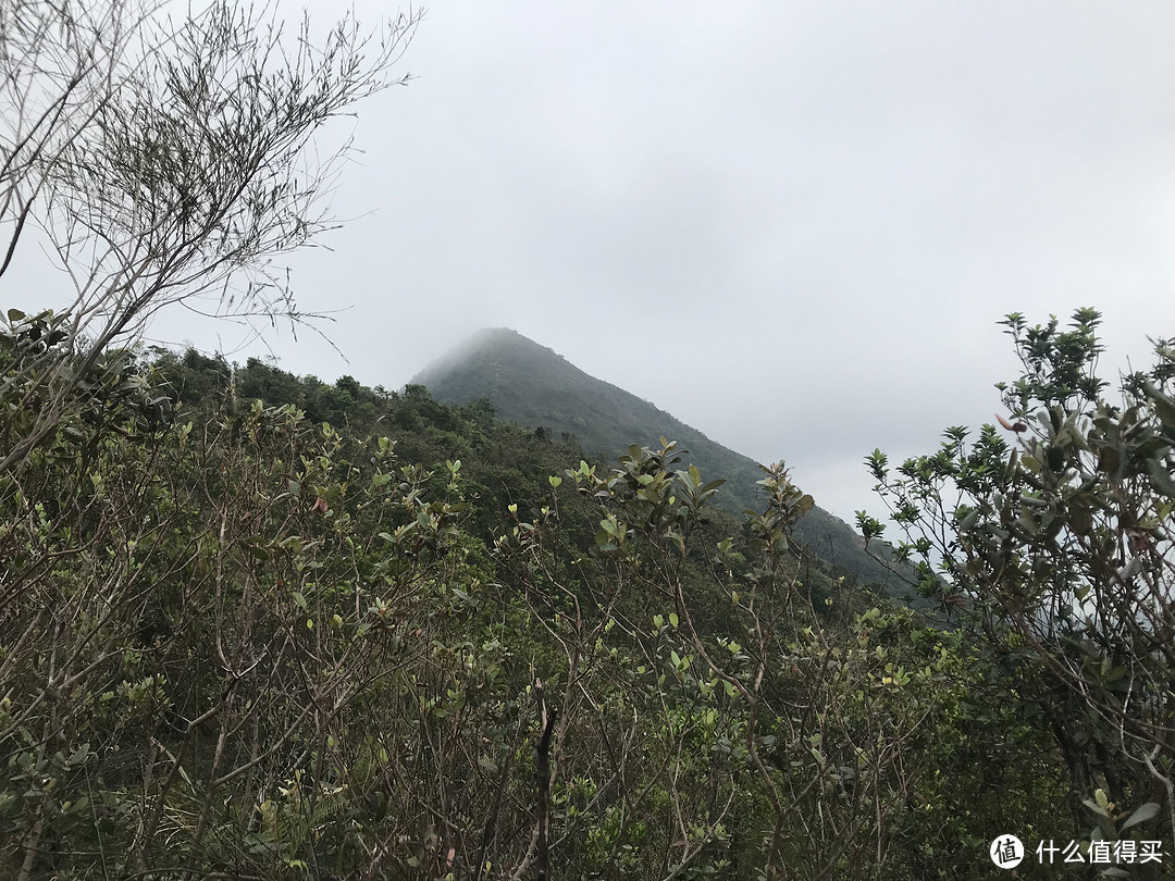 麦理浩径六七八段之重返大帽山