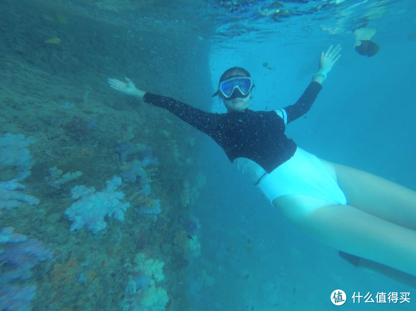 人生就像大海，一浪接着一浪—记帕劳初次水肺潜水