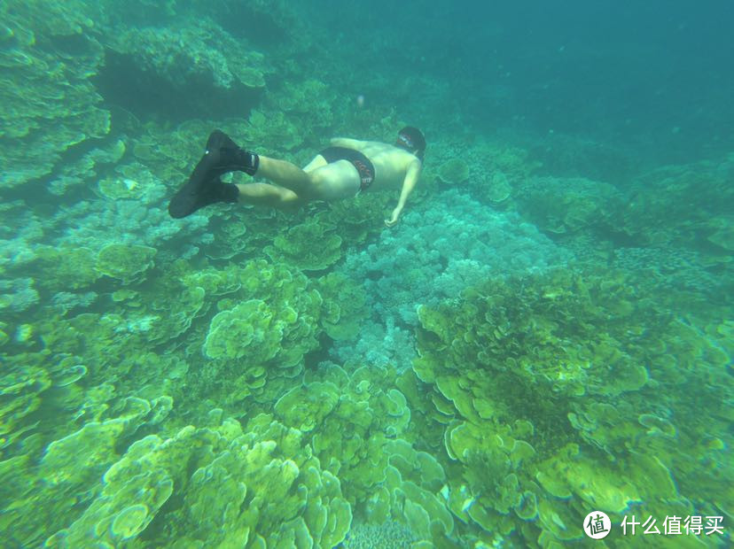 人生就像大海，一浪接着一浪—记帕劳初次水肺潜水