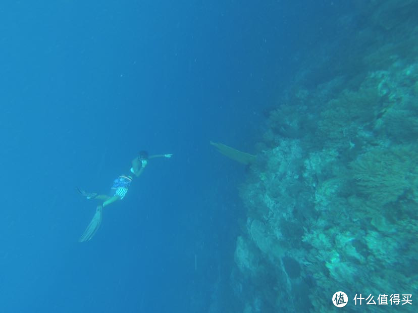 人生就像大海，一浪接着一浪—记帕劳初次水肺潜水