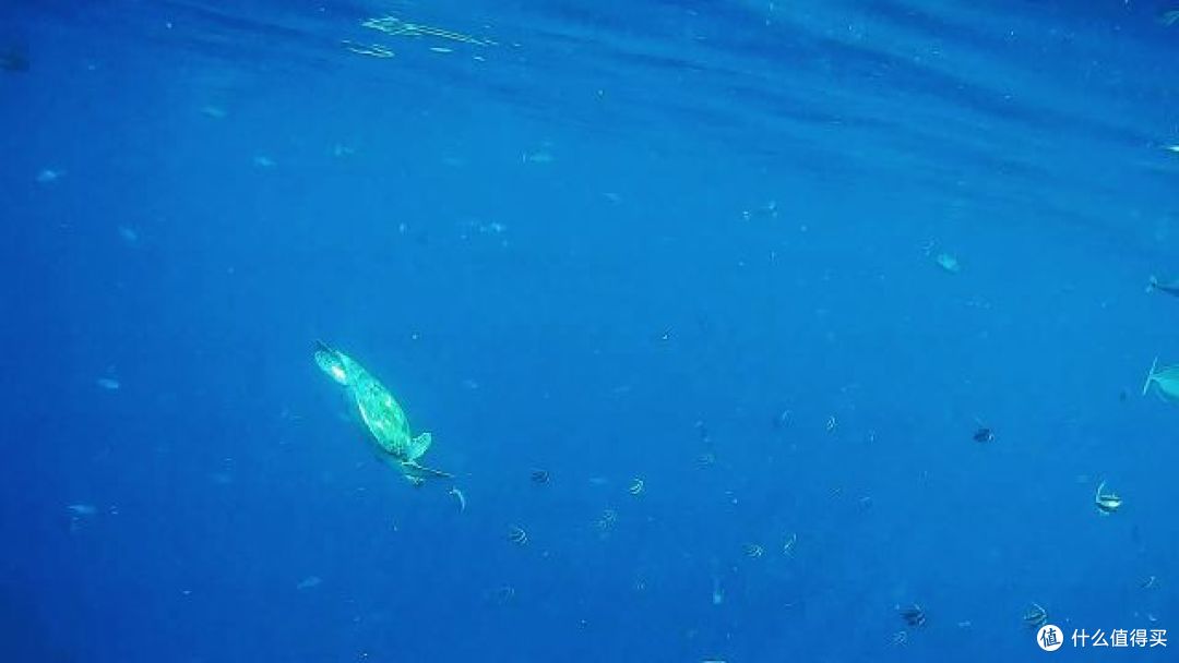 我的上天入海,看日月星辰—7天5晚马尔代夫比亚度(白雅湖)潜水之旅
