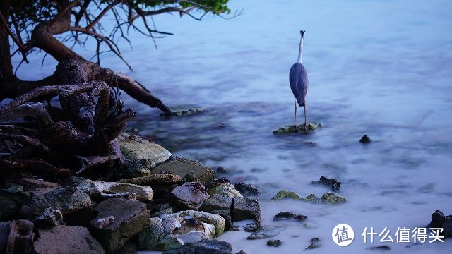 我的上天入海，看日月星辰—7天5晚马尔代夫比亚度（白雅湖）潜水之旅