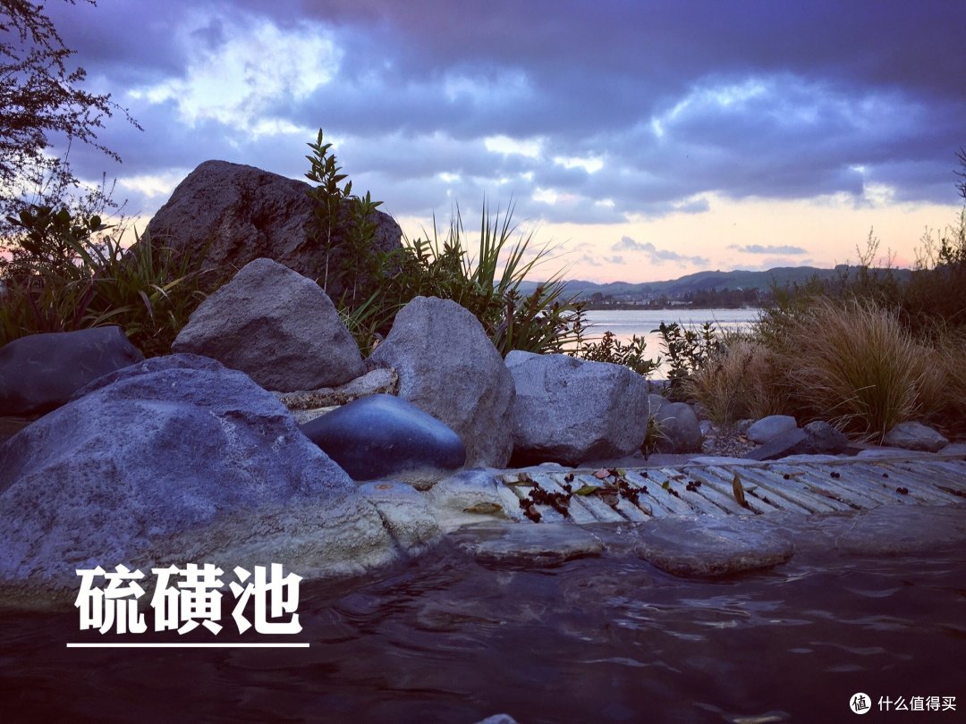 囧囧的新西兰房车自驾(完结篇)