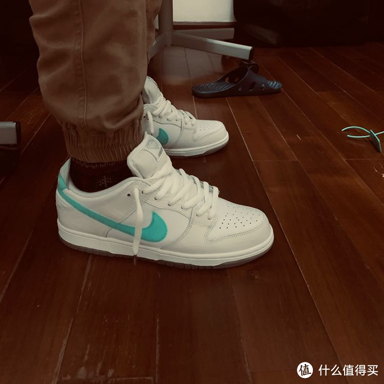 秋冬买了一双夏天的鞋dunk sb low钻石联名