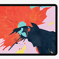苹果 iPad Pro 10.5 英寸 平板电脑购买理由(价格|性价比)