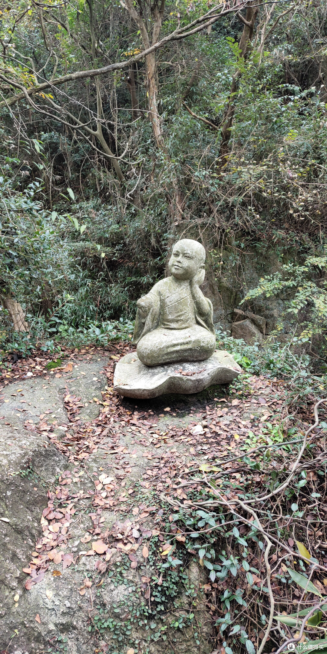 双11不去购物，跑去爬山是一种怎么样的体验？