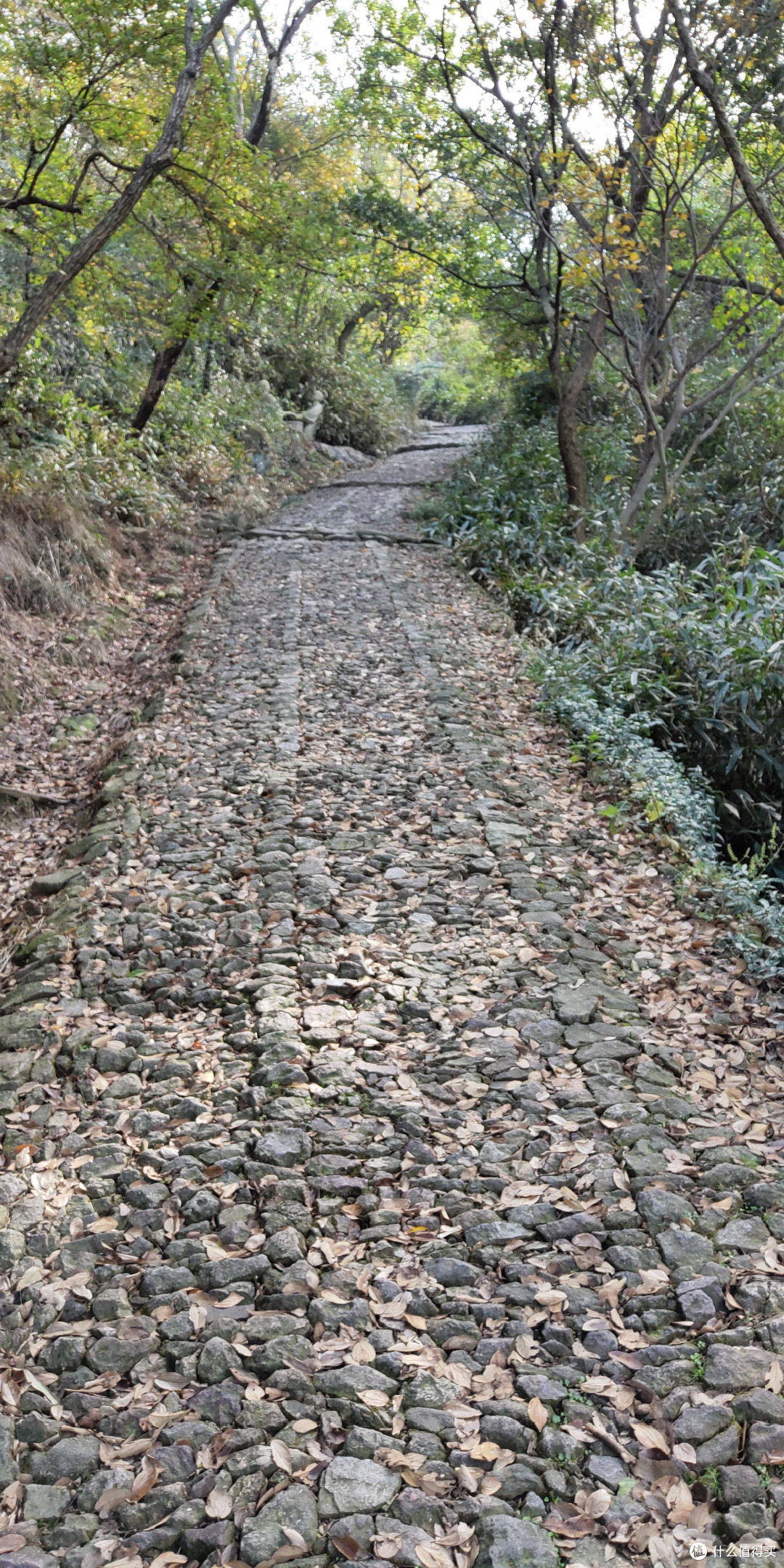 双11不去购物，跑去爬山是一种怎么样的体验？