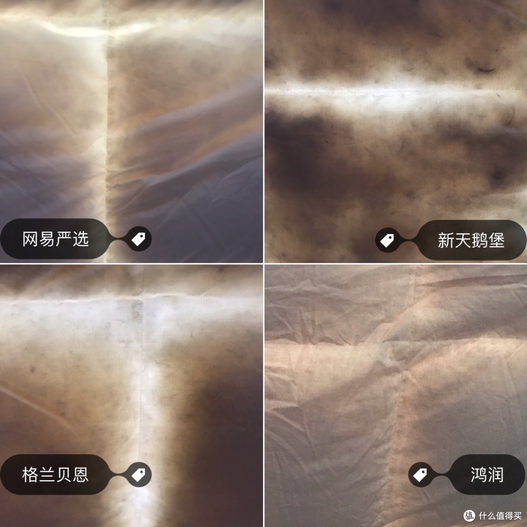 (大家可以上翻到绒的那张逆光照片,对比一下)