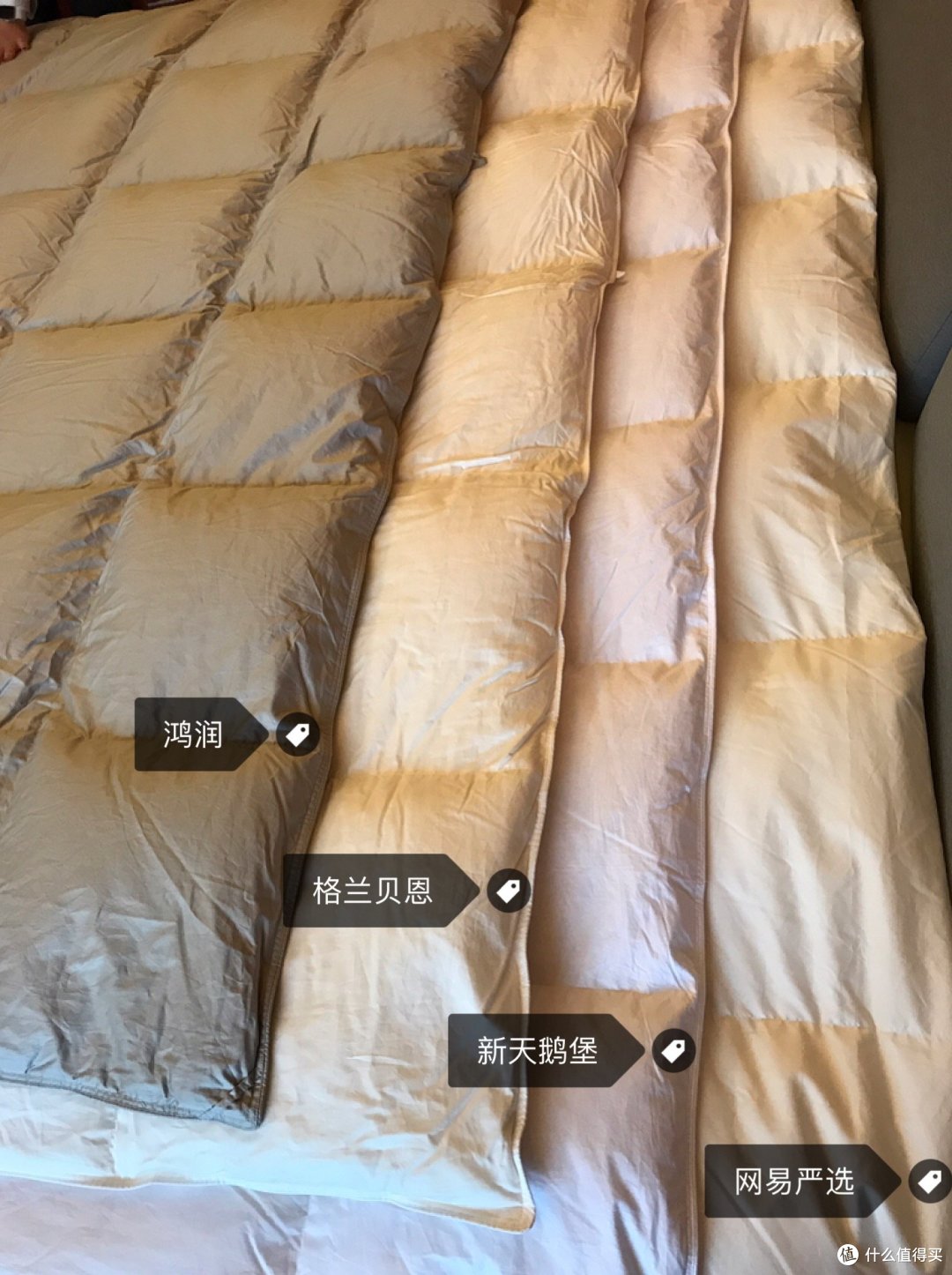 我刷爆了白条、花呗和信用卡,为了这几款鹅绒被的测评……