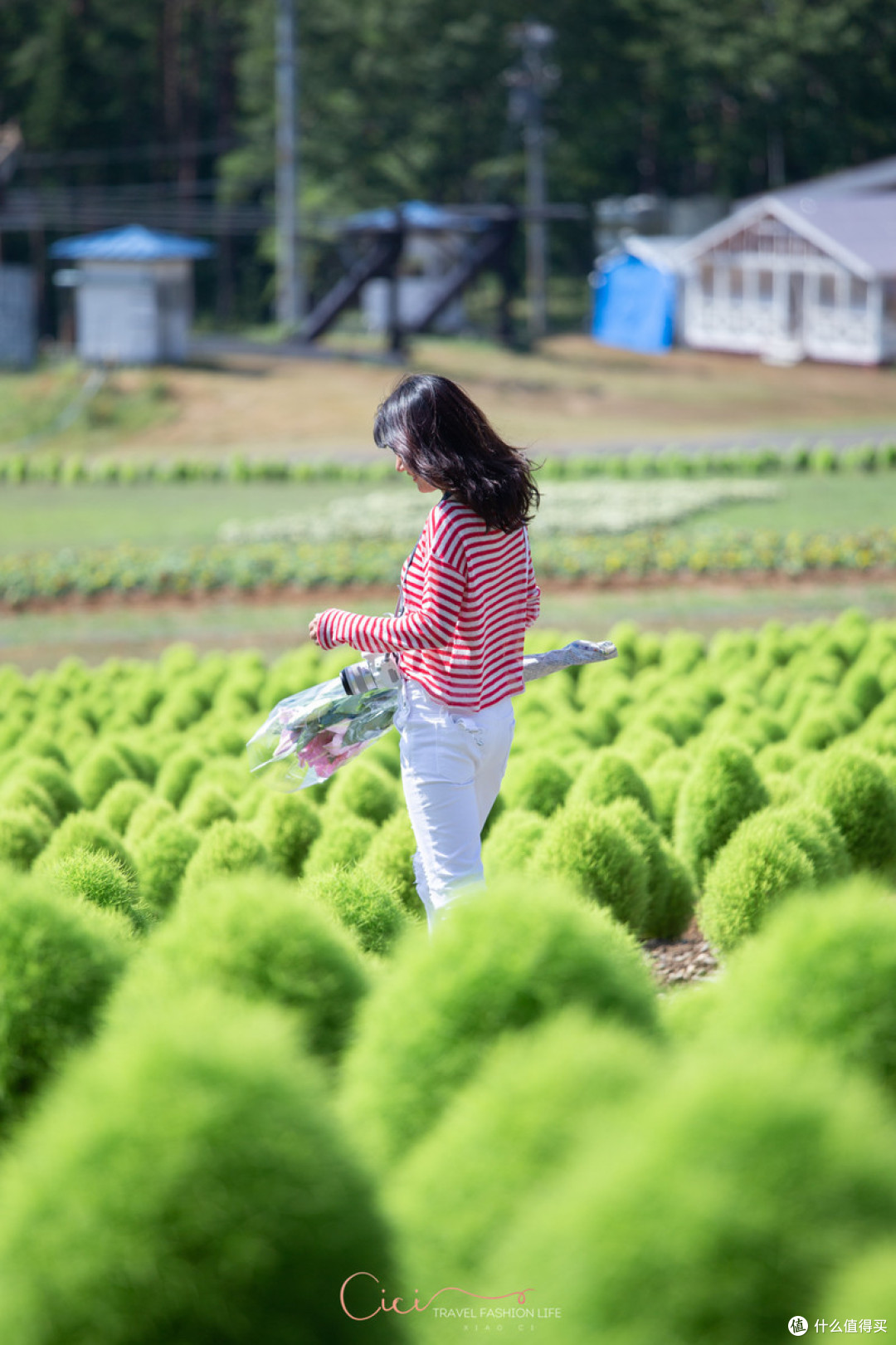 嘿,我敢说,这是独一无二的日本中部旅行线路,你一定会喜欢