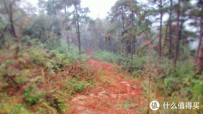 ​山就在那里，总有一段旅程满怀温暖—单人徒步探寻武当五龙宫祈福爱的人