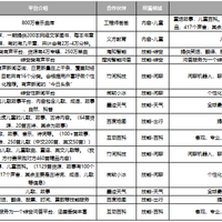华为AI音箱外观展示(开关|刻度|类型)
