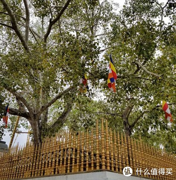 2019全球最佳旅行地TOP1!性价比高到尖叫!电子签就能去