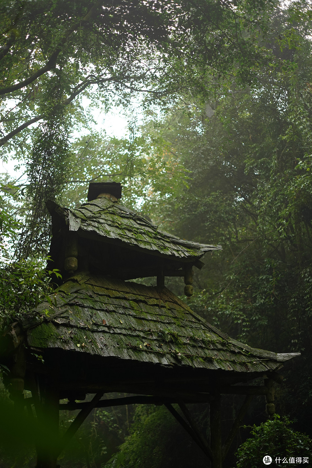 成都 青城后山忘忧亭