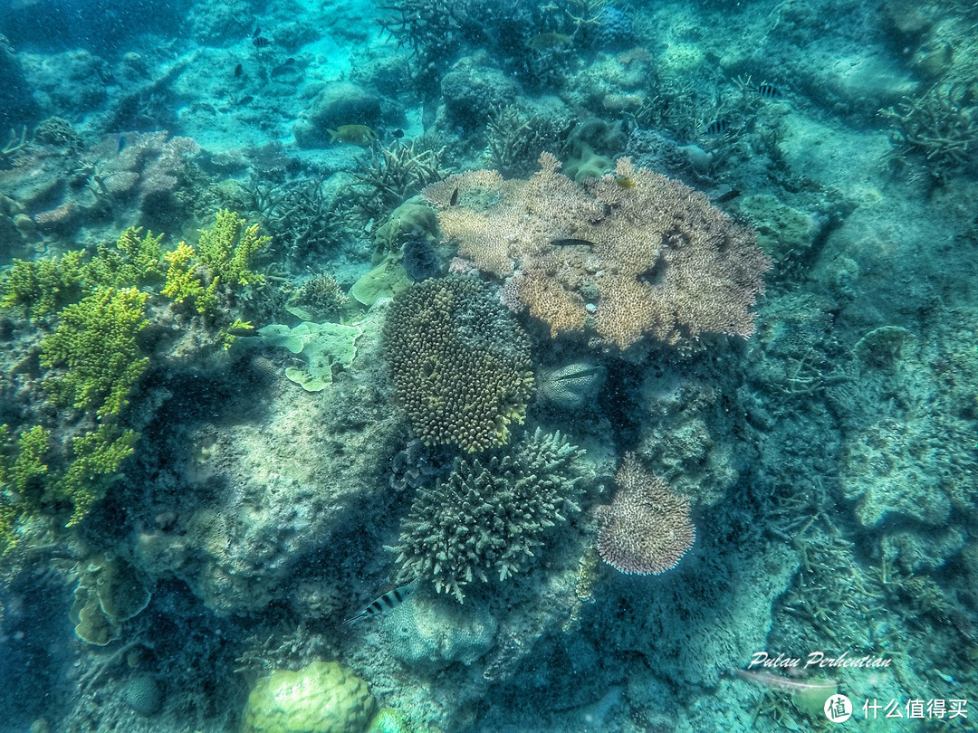 【旅行系列】寻找一方停泊的港湾—记旅行小分队第一次“停泊岛”之旅