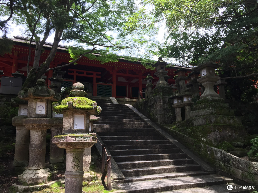 京都—奈良（喂鹿）—大阪（逛吃）