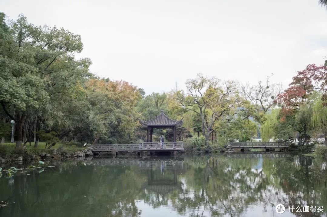 被信用卡加持后的日常小生活...... 年末该去收特价权益了