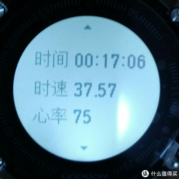 骑行其他数据