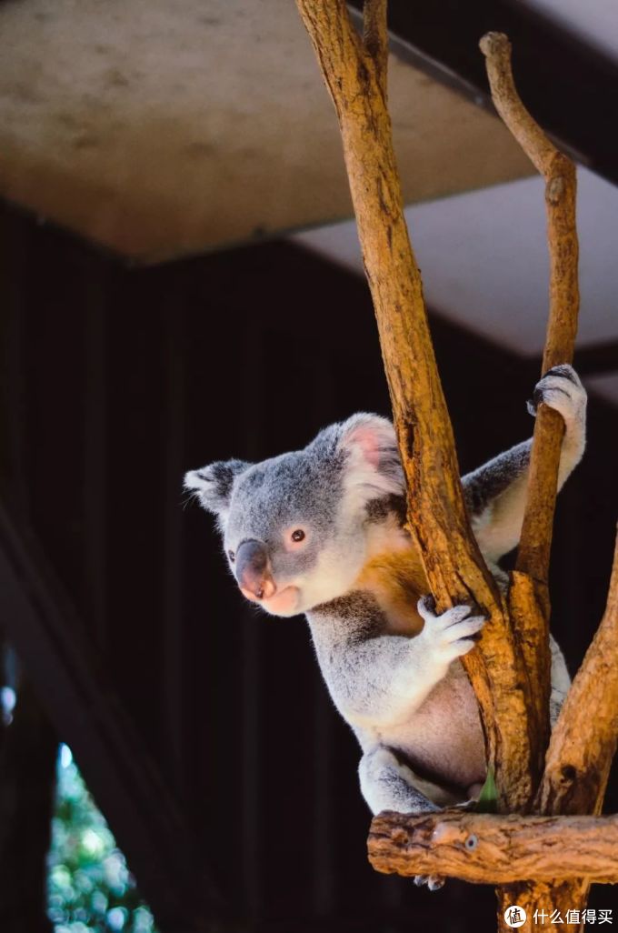 难怪富豪都爱去国外定居！这些最适合养老的国家，福利好，风景还美到爆！
