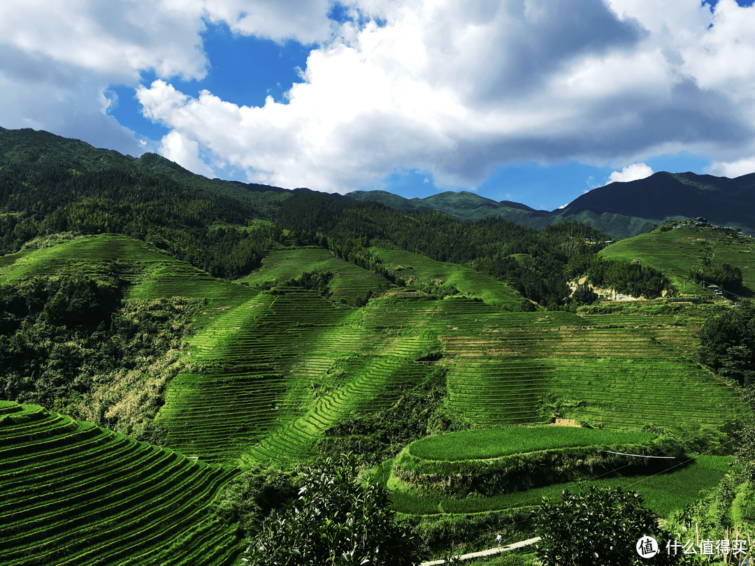 身在此山中有时也能看到好风景